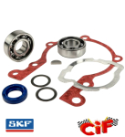 Motorüberholsatz Lager SKF 6202-C3 Motordichtsatz...