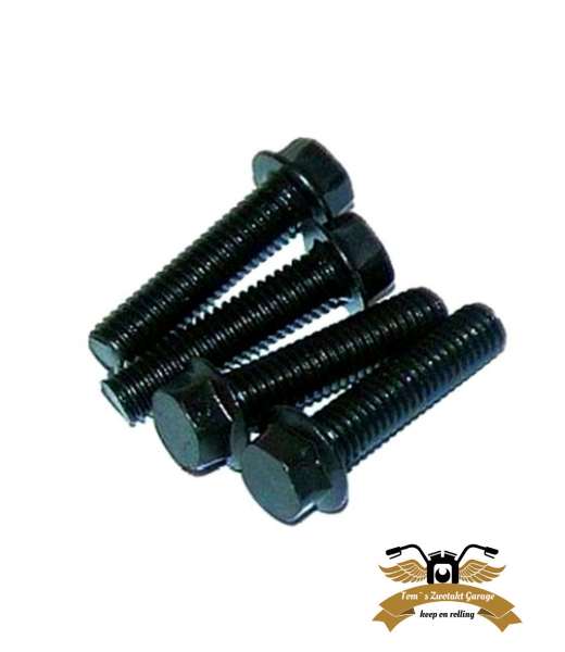 Schraubensatz Befstigungskit Ciao Getriebdeckel Schraube mit Flansch DIN 6921