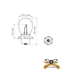 2x Birne Glühbirne P26S 6V 20W Glühbirne Mofa...