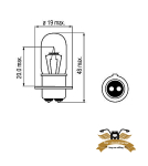 Birne PX15D 6V 20/20W 2-Phasen Lampe Mofa Moped Mokick Motorrad Klarglas