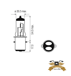 Birne BA20D 12V 25/25W Semi Halogen Lampe Mofa Moped...