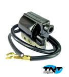 Externe Zündspule 6V Original TNT Piaggio Ciao,...