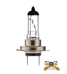 Birne Halogen H7 PX26D 12V 55W Mofa Moped KFZ