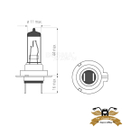 Birne Halogen H7 PX26D 12V 55W Mofa Moped KFZ