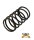 Gegendruckfeder Druckfeder Wandler Standard ohne Nasen Ciao Bravo Citta Vespa SI
