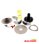 Wandler Kupplung Malossi Fly Clutch MHR Ø 100mm...