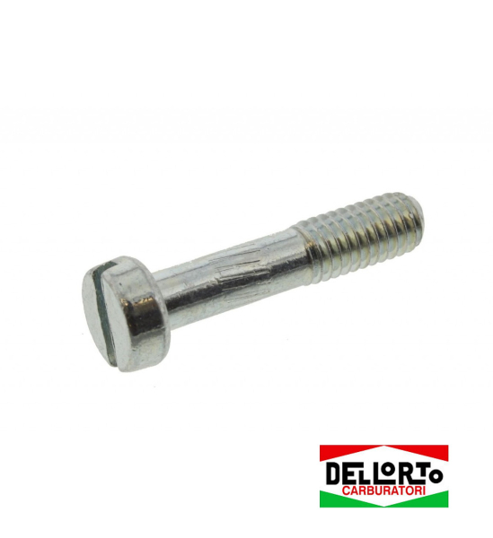 Dellirto SHA Vergaser Schraube M6 x 27mm