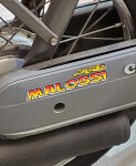 Aufkleber Sticker Malossi Logo ca. 130x30 mm