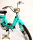 Piaggio Ciao C7V2 Moped Verde Paraggi restauriert zu verkaufen