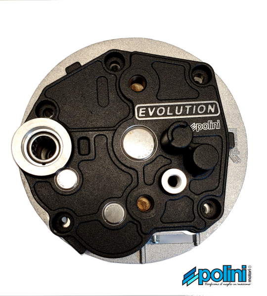 Getriebegehäuse Variomatik Polini Evolution Ciao, Bravo, Vespa SI -Polini-