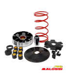 Variomatik Malossi Multivar Overrange Variator für...