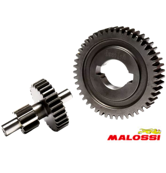 Getriebe Zahnradsatz Sekundärgetriebe 10/47 = 1:4,7 Vario Ciao,-Malossi-
