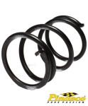 Gegendruckfeder Pinasco für Pinaso Wandler -Pinasco-